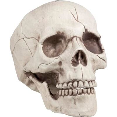 Boland Decoratie Schedel Jawbone, Beweegbare Kaak Schedel voor Halloween, carnaval en horrorfeest Boland Decoratie Schedel Jawbone, Beweegbare Kaak Schedel voor Halloween, carnaval en horrorfeest