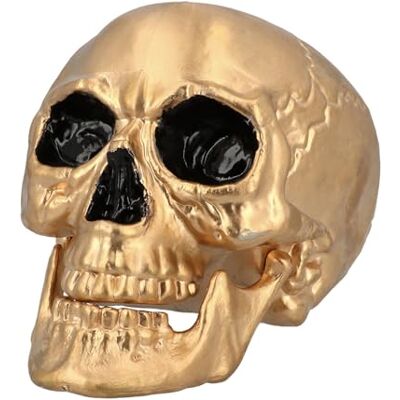 Boland Schedel Maxilla met beweegbare tanden, decoratieve schedel voor horrorfeestjes, Halloween of carnaval Boland Schedel Maxilla met beweegbare tanden, decoratieve schedel voor horrorfeestjes, Halloween of carnaval