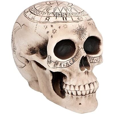Boland Doodskop Astronomy, 14 x 20 x 14 cm Schedel voor Halloween, carnaval en horrorthemafeest, skelet Boland Doodskop Astronomy, 14 x 20 x 14 cm Schedel voor Halloween, carnaval en horrorthemafeest, skelet