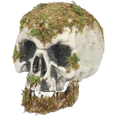 Boland 73099 Schedel Moeras, decoratie voor Halloween en carnaval, schedel, skelet Boland 73099 Schedel Moeras, decoratie voor Halloween en carnaval, schedel, skelet