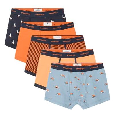 SPRINGFIELD SPRINGFILED Boxershorts, bedrukt, damesondergoed, oranje, L, Perzik, L SPRINGFIELD SPRINGFILED Boxershorts, bedrukt, damesondergoed, oranje, L, Perzik, L