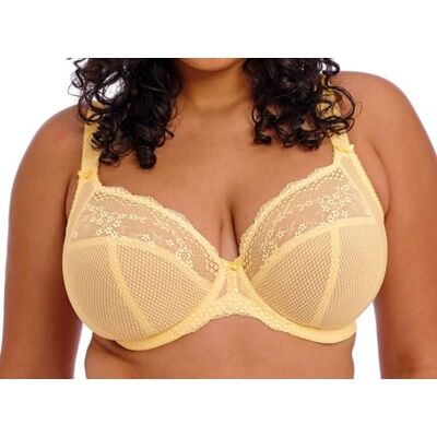 Elomi Dames Charley Stretch Lace Onderdraad Plunge BH, Ondoorzichtig, Citroen Fizz, 85G Elomi Dames Charley Stretch Lace Onderdraad Plunge BH, Ondoorzichtig, Citroen Fizz, 85G