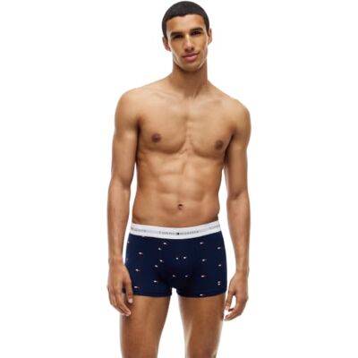 Tommy Hilfiger Heren 3P Trunk Print UM0UM03891 Koffer, MULTI (Cham Blu/Antiek Zilver/Op Blu Vlag), L Tommy Hilfiger Heren 3P Trunk Print UM0UM03891 Koffer, MULTI (Cham Blu/Antiek Zilver/Op Blu Vlag), L