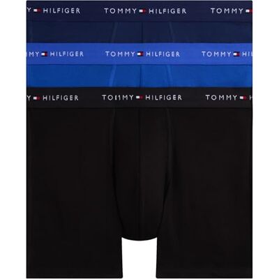 Tommy Hilfiger Heren 3P BOXER BRIEF DTM UM0UM03696 Boxer Brief, Groen, XL, Groen (Nob Blu/Prp Nvy/Blk), XL Tommy Hilfiger Heren 3P BOXER BRIEF DTM UM0UM03696 Boxer Brief, Groen, XL, Groen (Nob Blu/Prp Nvy/Blk), XL