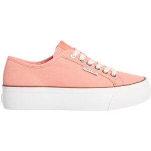 Calvin Jeans Vrouwen Vulc Flatform Ctn Logo Tag Yw0yw01838 Low Top, Oranje Poeder Oranje Cappuccino, 4 Calvin Jeans Vrouwen Vulc Flatform Ctn Logo Tag Yw0yw01838 Low Top, Oranje Poeder Oranje Cappuccino, 4