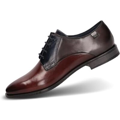 bugatti Heren 312-AFY05 veterschoenen, donkerbruin/donkergrijs, veterschoenen, 40 EU breed, bruin, 40 EU Breed bugatti Heren 312-AFY05 veterschoenen, donkerbruin/donkergrijs, veterschoenen, 40 EU breed, bruin, 40 EU Breed
