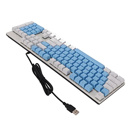 HEITIGN Blue Switch Mechanisch Gamingtoetsenbord Blue Switch Mechanisch Toetsenbord RGB Mechanisch Toetsenbord 104 Toetsen Mechanisch Toetsenbord Blue Switch RGB Usb Slijtvast (Wit Blauw)