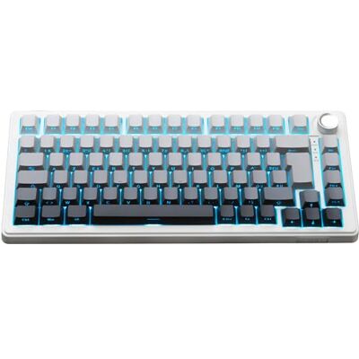 THE G-LAB KEYZ Elite 300 GRW Gaming-toetsenbord, draadloos, TKL, tri-modus, 2,4 GHz/Bluetooth/bekabeld, mechanisch toetsenbord, hot swap, voorgesmeerde schakelaars, gravure aan de zijkant, RGB + macro THE G-LAB KEYZ Elite 300 GRW Gaming-toetsenbord, draadloos, TKL, tri-modus, 2,4 GHz/Bluetooth/bekabeld, mechanisch toetsenbord, hot swap, voorgesmeerde schakelaars, gravure aan de zijkant, RGB + macro