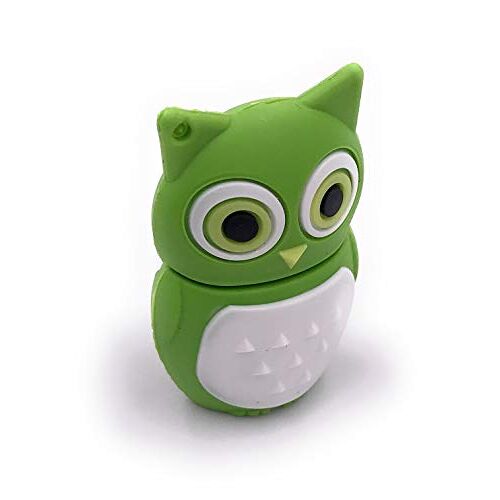 H-Customs H-Douane Uil Vogel Groen USB Flash Drive 8GB 16 GB 32 GB 64 GB USB 2.0-3.0 32GB USB 3.0