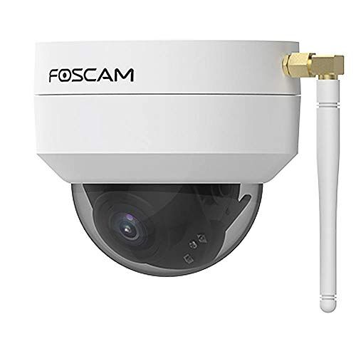 Foscam D4Z PTZ Dome bewakingscamera
