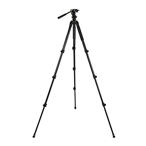 Celestron 82052 Regal Premium statief voor spotting scopes, verrekijkers, camera's en kleine telescopen, zwart