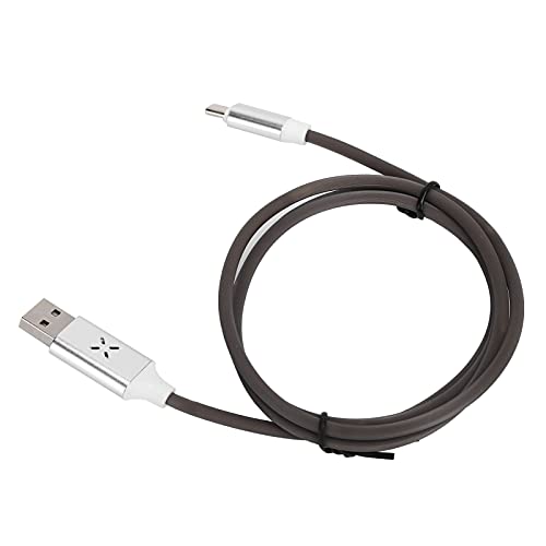 LANTRO JS Snelle oplaadkabel, LED stroomt USB naar Type C oplaadkabel met spraakbesturing, 2.4A en meer