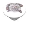 PopSockets Poptop Verwisselbare Top Voor Uw Verwisselbare Popgrip Cat Nap