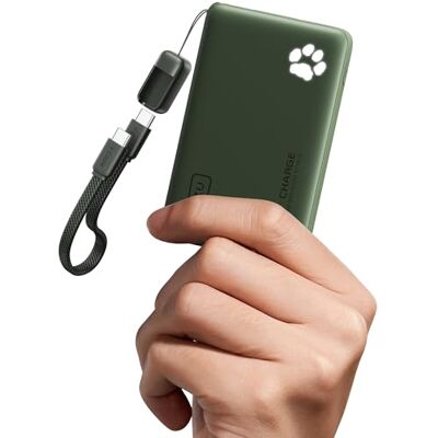 INIU Power Bank, klein 45 W snel opladen 10.000 mAh draagbare oplader Afneembare USB-C-kabel, geschikt voor vlucht, reizen, powerbank voor iPhone 17 16, Samsung S25, Xiaomi iPad enz INIU Power Bank, klein 45 W snel opladen 10.000 mAh draagbare oplader Afneembare USB-C-kabel, geschikt voor vlucht, reizen, powerbank voor iPhone 17 16, Samsung S25, Xiaomi iPad enz