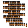 AOFOX -pakket van 100 miniflesjes met essentiële amberolie, kleine lege monsterpotjes met verloopstukken en doppen voor oliemengsels, parfums, laboratoriumchemicaliën (2 ml)