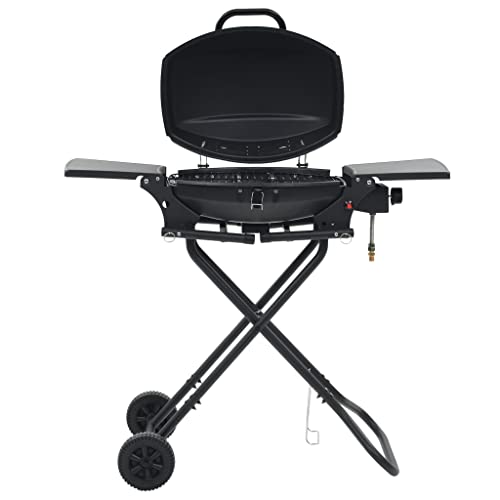 DCRAF Keukenapparatuur Draagbare Gas BBQ Grill met Koken Zone Zwart Huis & Tuin