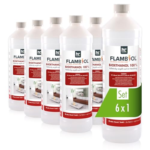 Höfer Chemie 6 x 1 L bio-ethanol 100% zuiver voor ethanolhaard, ethanolbranders, tafelhaard en bio-ethanolhaard