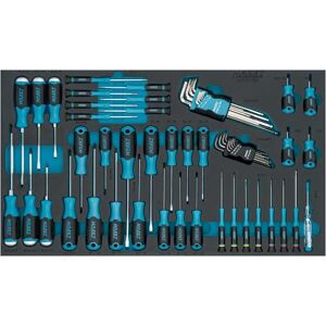 Hazet -schroevendraaierset 163-527/56N, 56-delig, 1,5-10 mm, PH00-PH2, T5-T40, sleufschroevendraaier, kruiskopschroevendraaier, interne TORX en zeskantschroevendraaier, incl. slagdopschroevendraaier, offset sleutel'. Hazet -schroevendraaierset 163-527/56N, 56-delig, 1,5-10 mm, PH00-PH2, T5-T40, sleufschroevendraaier, kruiskopschroevendraaier, interne TORX en zeskantschroevendraaier, incl. slagdopschroevendraaier, offset sleutel'.