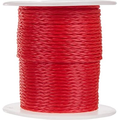 Meister Metselaarskoord rood 50 m lengte Ø 2,0 mm polyethyleen gevlochten knoopvast scheurvast & belastbaar op spoel/richtsnoer/bouwsnoer/soldeersnoer/bestratingskoord / 6306210 Meister Metselaarskoord rood 50 m lengte Ø 2,0 mm polyethyleen gevlochten knoopvast scheurvast & belastbaar op spoel/richtsnoer/bouwsnoer/soldeersnoer/bestratingskoord / 6306210