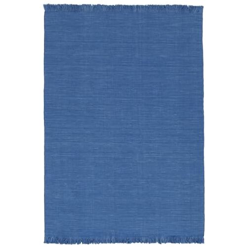 RugVista Zandra Kelim Vloerkleed Blauw vloerkleed 170x240 Modern Vloerkleed