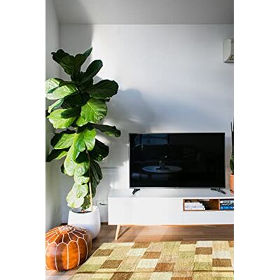 Ottoman Chenilla tapijt, box, bruin-groen, 140 x 200 cm Ottoman Chenilla tapijt, box, bruin-groen, 140 x 200 cm