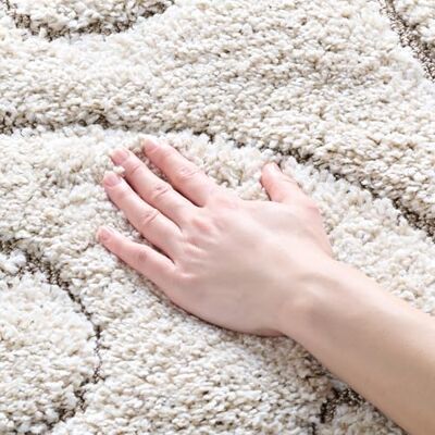 Safavieh Florida Shag Collection Vloerkleed 1,25 cm x 15,2 cm, crème en beige, scrollontwerp, niet-pluizend en onderhoudsvriendelijk, 3 cm dik, ideaal voor gebieden met veel verkeer in woonkamer, Safavieh Florida Shag Collection Vloerkleed 1,25 cm x 15,2 cm, crème en beige, scrollontwerp, niet-pluizend en onderhoudsvriendelijk, 3 cm dik, ideaal voor gebieden met veel verkeer in woonkamer,