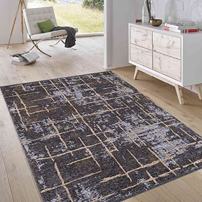 Jimri Laagpolig omkeerbaar tapijt plat geweven tapijt voor slaapkamer en woonkamer, ingang, hal machinaal gemaakt, zachte polyester en katoenen loper strepen-grijs, maat: 75x150 cm Jimri Laagpolig omkeerbaar tapijt plat geweven tapijt voor slaapkamer en woonkamer, ingang, hal machinaal gemaakt, zachte polyester en katoenen loper strepen-grijs, maat: 75x150 cm