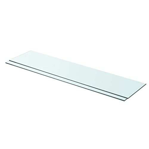TECHPO Nice Rekken Wandplanken & Ledges-Planken 2 stuks Paneel Glas Helder 90x20 cm
