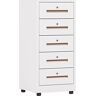 ESOTO Moderne Archiefkast Archiefkast met 5 laden Verticale archiefkast Thuiskantoor Metalen archiefkast Organizer Archiefkast met slot Archiefkast for thuiskantoor Verticale Archiefkast (Size : White)