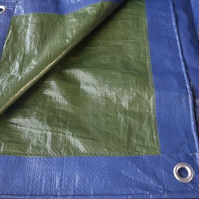 TENAX Cover All Plane Afdekzeil met oogjes, 2,00 x 6 m, groen-blauw, 90 g/m², dekzeil voor hout, tuinmeubelen, auto's, zwembaden, boten, camping, beschermend zeil met metalen ogen, waterdicht en TENAX Cover All Plane Afdekzeil met oogjes, 2,00 x 6 m, groen-blauw, 90 g/m², dekzeil voor hout, tuinmeubelen, auto's, zwembaden, boten, camping, beschermend zeil met metalen ogen, waterdicht en