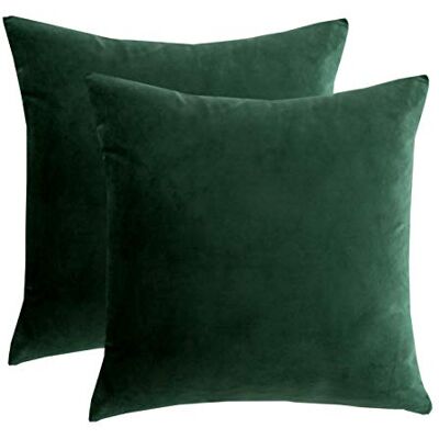 RainRoad Fluwelen decoratieve kussenhoezen kussenhoes kussensloop voor bank, bedstoel, zachte vierkante donkergroene sierkussens 45 x 45 cm, set van 2 RainRoad Fluwelen decoratieve kussenhoezen kussenhoes kussensloop voor bank, bedstoel, zachte vierkante donkergroene sierkussens 45 x 45 cm, set van 2