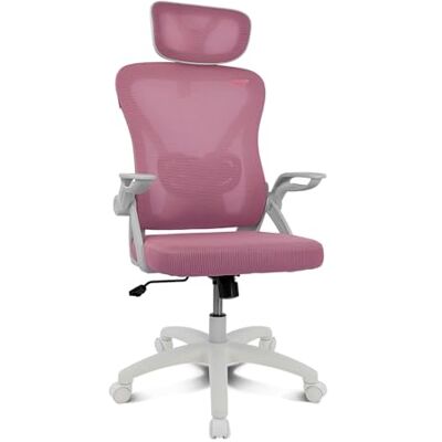 DRIFT GAMING DRAIR35 – Ergonomische Bureaustoel voor Kantoor en Thuis van Ademend Mesh, 90-120° Kantelbaar, Hoofdsteun en Opklapbare Armleuningen, Belastbaar tot 120 kg, Roze-Wit DRIFT GAMING DRAIR35 – Ergonomische Bureaustoel voor Kantoor en Thuis van Ademend Mesh, 90-120° Kantelbaar, Hoofdsteun en Opklapbare Armleuningen, Belastbaar tot 120 kg, Roze-Wit