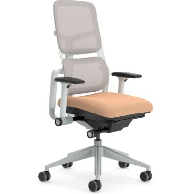 Steelcase Please Air ergonomische, in hoogte verstelbare bureaustoel met verstelbare lendensteun en armleuning, ademende lattenbodem en comfortabele persimmon-zitting Steelcase Please Air ergonomische, in hoogte verstelbare bureaustoel met verstelbare lendensteun en armleuning, ademende lattenbodem en comfortabele persimmon-zitting