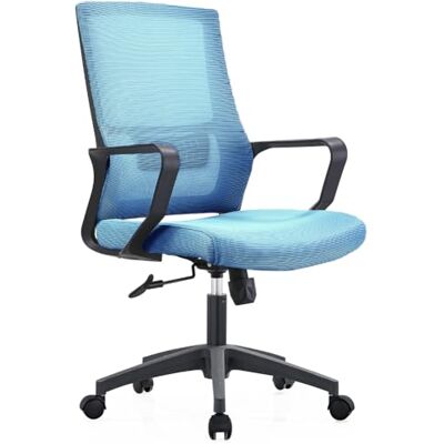 Shally Dogan Ergonomische draaistoel met lendensteun, bureaustoel, werkkamerstoel, in hoogte verstelbaar, stevige zwarte basis, zweetbestendige rugleuning (blauw) Shally Dogan Ergonomische draaistoel met lendensteun, bureaustoel, werkkamerstoel, in hoogte verstelbaar, stevige zwarte basis, zweetbestendige rugleuning (blauw)