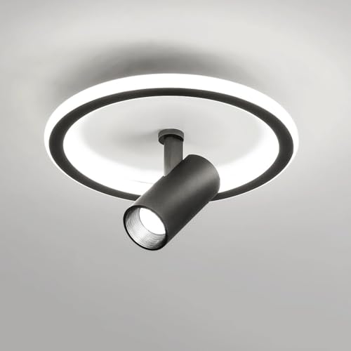 RXPVUXE Ronde LED-plafondarmatuur Wit/zwart plafondspotlicht 30W opbouwarmatuur met verstelbare spot voor keuken, slaapkamer, eetkamer, hal, entree en kantoor