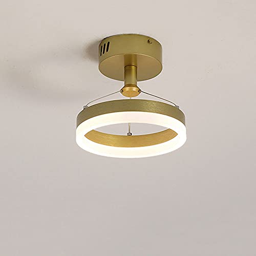 WZLMZ 12W gouden inbouw plafondlamp, 8 inch ronde plafondlamp, warm wit licht plafondlamp, acryl plafondlamp voor gang gangpad badkamer