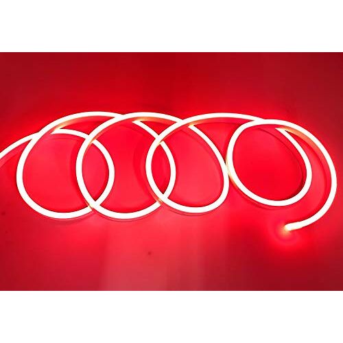 tempo di saldi Waterdicht IP65 Flexibel Neon led Strip 5 Meter 120 led / m 12 V Rood