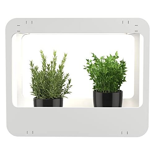 Romberg Mini-tuin met LED-verlichting, wit, 50,5 x 21 x 40 cm