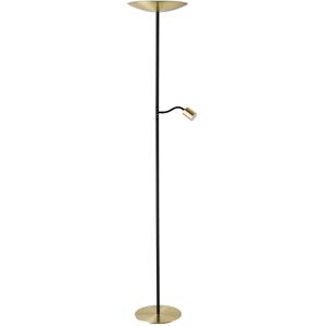 Eglo Conivarino Led-vloerlamp, lamp voor woonkamer, plafondschijnwerper met flexibele leeslamp, vloerlamp met aanraakschakelaar, dimbaar, staal in geborsteld messing, warmwit, 170 cm Eglo Conivarino Led-vloerlamp, lamp voor woonkamer, plafondschijnwerper met flexibele leeslamp, vloerlamp met aanraakschakelaar, dimbaar, staal in geborsteld messing, warmwit, 170 cm