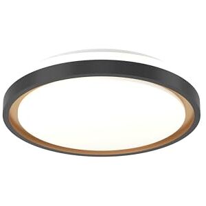 Eglo connect.z Smart Home LED plafondlamp Maleramara-Z, ZigBee + Matter, app- en spraakbesturing Alexa, warmwit-koudwit, RGB, dimbaar, zwart, goud, wit, Ø 35,7 cm Eglo connect.z Smart Home LED plafondlamp Maleramara-Z, ZigBee + Matter, app- en spraakbesturing Alexa, warmwit-koudwit, RGB, dimbaar, zwart, goud, wit, Ø 35,7 cm