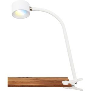 Briloner Witte TARI Tafellamp - LED, Herlaadbaar, Touch Dimmer Briloner Witte TARI Tafellamp - LED, Herlaadbaar, Touch Dimmer