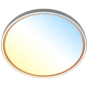 Briloner Led-plafondlamp met afstandsbediening, dimbaar, CCT warm wit tot koud, kroonluchter voor woonkamer, slaapkamer, plafondlamp, keuken, 49 x 6,5 cm, antraciet Briloner Led-plafondlamp met afstandsbediening, dimbaar, CCT warm wit tot koud, kroonluchter voor woonkamer, slaapkamer, plafondlamp, keuken, 49 x 6,5 cm, antraciet