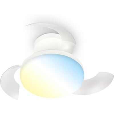 Briloner Plafond ventilator LED met verlichting, afstandsbediening, stille DC-motor met 3 snelheden, CCT en dimbaar licht, uitschuifbare bladen, plafondlamp ventilator, 44 x 16,5 cm, wit Briloner Plafond ventilator LED met verlichting, afstandsbediening, stille DC-motor met 3 snelheden, CCT en dimbaar licht, uitschuifbare bladen, plafondlamp ventilator, 44 x 16,5 cm, wit