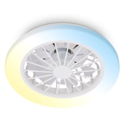 Briloner Plafond ventilator LED met verlichting, afstandsbediening, stille DC-motor met 5 snelheden, CCT en dimbaar licht, plafondlamp ventilator voor slaapkamer, 38 x 14 cm, wit Briloner Plafond ventilator LED met verlichting, afstandsbediening, stille DC-motor met 5 snelheden, CCT en dimbaar licht, plafondlamp ventilator voor slaapkamer, 38 x 14 cm, wit