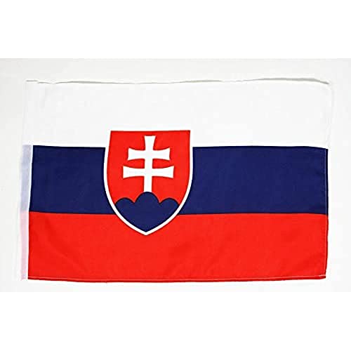 AZ FLAG Slowakije Vlag 45x30 cm gat Slowaakse kleine vlaggen 30 x 45 cm Banner 18x12 in hoge kwaliteit