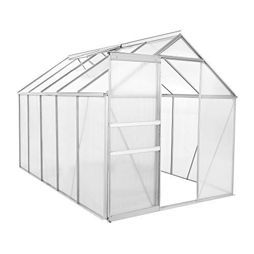 Zelsius aluminium broeikas voor de tuin, inclusief fundering, 310 x 190 cm, 6 mm platen, veelzijdig bruikbaar als broeikas, tomatenhuis, broeibed en plantenhuis.