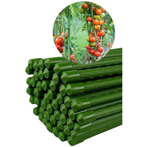 Novatool 50 plantenstaven 90 cm groen 11 mm diameter rankstaven klimhulp tomatenstaven bloemenhouder