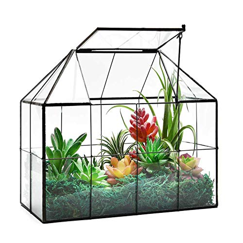 ZOOBAYA Grote Glazen Huis Plant Terrarium – Sappige Plant Terrarium Geometrische Kas Tafelblad Glas Terrarium met deksel