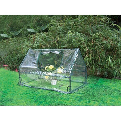 Biotop B2073 Mini-broeikas, PVC, 100 x 60 x 60 cm