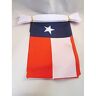 AZ FLAG Slinger 4 meter 20 Texas Vlaggen 15x10 cm Texas Vlag 10 x 15 cm AZ VLAG